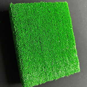 DK The Sports Book Green special edition grass